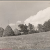 Hay field near Sperryville, Virginia