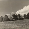 Hay field near Sperryville, Virginia