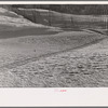 Snow fence, Coos County, New Hampshire