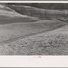 Snow fence, Coos County, New Hampshire