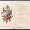 Les fleurs