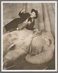 Jimmy Durante lying with elephant Rosie in the stage production Jumbo