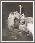 Arthur Sinclair mounted upon Rosie the elephant in the stage production Jumbo