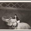 Arthur Sinclair riding Rosie the elephant in the stage production Jumbo