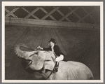 Arthur Sinclair riding Rosie the elephant in the stage production Jumbo