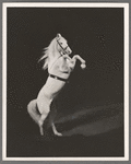 Doheos the horse in the stage production Jumbo