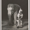 Rosie the elephant and unidentified performer in the stage production Jumbo