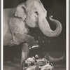 Jimmy Durante and Rosie the elephant [foot raised] in the stage production Jumbo