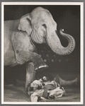 Jimmy Durante and Rosie the elephant [foot raised] in the stage production Jumbo
