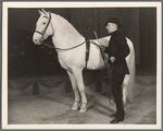 Doheos the horse and his trainer Herman Ostermaier in the stage production Jumbo