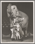 Jimmy Durante and Rosie the elephant in the stage production Jumbo