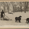 Snow carnival, Lancaster, New Hampshire