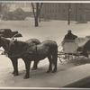 Sleigh for hire at snow carnival, Lancaster, New Hampshire