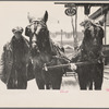 Citizen [with sled team], Lancaster, New Hampshire