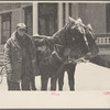 Citizen [with sled team], Lancaster, New Hampshire