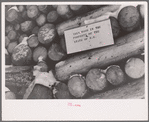 Pulpwood cut by cooperative farmers' organization, Groveton, New Hampshire