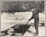 Cutting ice on the Ottaquetchee [Ottauquechee] River, Coos County, New Hampshire