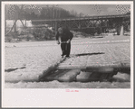 Cutting ice on the Ottaquetchee [Ottauquechee] River, Coos County, New Hampshire
