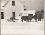 Oxen and sled used for hauling fire wood. [New Hampshire]