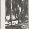 Pulpwood cutter. Coos Co