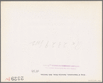 Group of homesteaders, Penderlea Farms, North Carolina