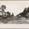 Negro boy selling pecans, near Alma, Georgia