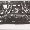 Packing fruit in the packinghouse at Fort Pierce, Florida