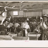 Packing celery at Sanford, Florida. Many of these workers are migrants