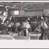 Packing celery at Sanford, Florida. Many of these workers are migrants