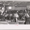 Packing celery at Sanford, Florida. Many of these workers are migrants