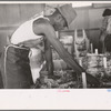 Packing celery at Sanford, Florida. Many of these workers are migrants