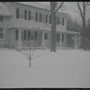 House and trees in snow