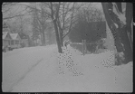 Trees and street in snow