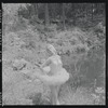 Tanaquil Le Clercq outdoors in costume for "Swan Lake"