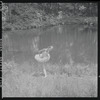 Tanaquil Le Clercq outdoors in costume for "Swan Lake"