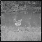 Tanaquil Le Clercq outdoors in costume for "Swan Lake"