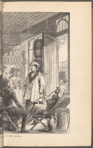 Wonderful adventures of Mrs. Seacole in many lands 