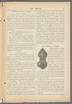 The Trefoil