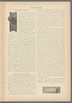 The Trefoil