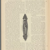 The Trefoil