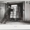 Packing eggs in cold storage warehouse, Jersey City, New Jersey