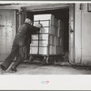 Packing eggs in cold storage warehouse, Jersey City, New Jersey