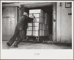 Packing eggs in cold storage warehouse, Jersey City, New Jersey