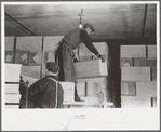 Packing eggs in cold storage warehouse, Jersey City, New Jersey