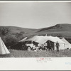 Roundup camp, Quarter Circle U roundup, Big Horn County, Montana