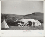Roundup camp, Quarter Circle U roundup, Big Horn County, Montana
