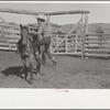 Cowboy mounting horse, Quarter Circle U Ranch, Big Horn County, Montana