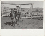 Cowboy mounting horse, Quarter Circle U Ranch, Big Horn County, Montana