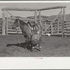 Saddling a horse, Quarter Circle U Ranch, Big Horn County, Montana