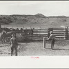 Using the snubbing post, Quarter Circle U Ranch, Big Horn County, Montana